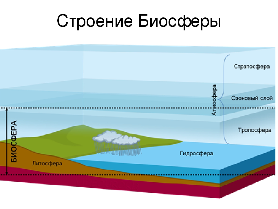 Схема границы биосферы покажите штриховкой область земли в которой существует жизнь 6 класс